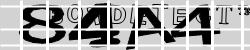 BotCaptcha.