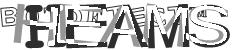 BotCaptcha.
