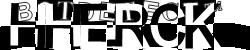 BotCaptcha.