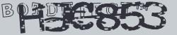 BotCaptcha.