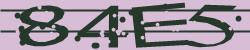 BotCaptcha.