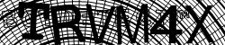 BotCaptcha.