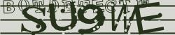 BotCaptcha.