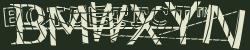 BotCaptcha.