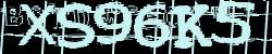 BotCaptcha.