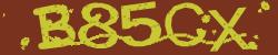 BotCaptcha.