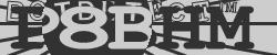 BotCaptcha.