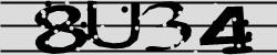 BotCaptcha.