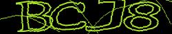 BotCaptcha.