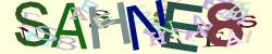 BotCaptcha.