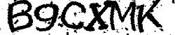 BotCaptcha.